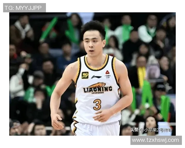 辽宁与北控比赛数据分析及关键表现回顾